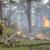 Brush Clearing / Wildfire Prep / Hazard Mitigation 3 thumbnail