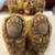 Collectable Steiff Teddy Bear, Glider/Rocker, Model #8150/40 12 thumbnail