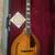 Octave Mandolin / Octave Mandola 2 thumbnail