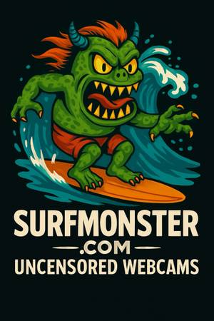 6’ Promo SurfMonster Ad poster 1