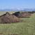 Beautiful Topsoil- landscaping, gardens, lawns 4 thumbnail