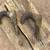 1941-1945 Dodge WC Front Tow Hooks 3 thumbnail