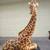 STRIKING EX LARGE MARWAL IND.1970's GIRAFFE SCULPTURE 2 thumbnail