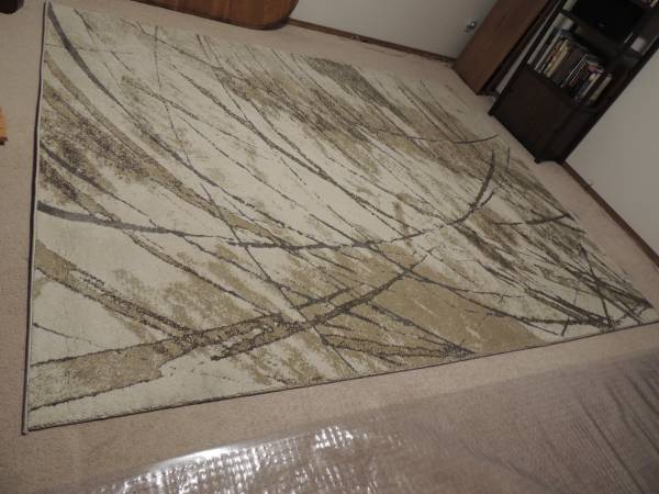 Area Rug 1
