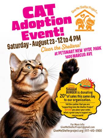 Give Me Shelter Project Cat and Kitten Adoption 1