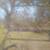 Clearing, mulching,treepulling, dirtwork. 5 thumbnail
