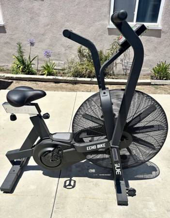 Rogue Echo Bike 1