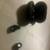 Earbuds 2 thumbnail