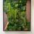 Moss plus Walnut wall art 1 thumbnail