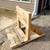 Outboard Motor Stand 2 thumbnail