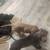 Lost female brindle pit with two puppies 3 thumbnail