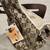 Designer pet carriers 12 thumbnail