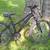 Mongoose bike  21 speed trail bicycle 1 thumbnail