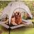 Large Elevated Dog Bed + Solar Tech Canopy Outdoor Cot 1 thumbnail