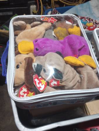 Beanie Babies w/ Carrying Case 1