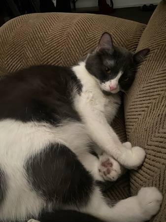 free (Lancaster/Palmdale)531155520408801285