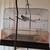 Vintage bird cage and stand 1 thumbnail