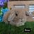 Lionlop Bunnies 11 thumbnail