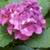 Master Gardener 9 thumbnail