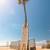 XL Paddleboard - Large Weight Capacity SUP - Fiberglass/Epoxy 8 thumbnail