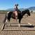 Holiday Horse Boarding Stables 5 thumbnail