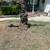 LANDSCAPING IN FREE ESTIMATES 21 thumbnail