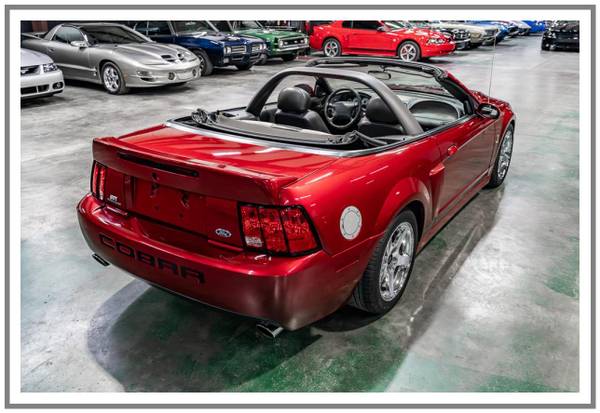 Convertible Ford SVT Cobra 2003 - Sobrealimentado 4.6 - Transmisión de 6 velocidades - 37,000 millas - $39,50063470048864129121