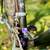 Vintage Trek 2100 pro carbon flat bar road bike 2 thumbnail