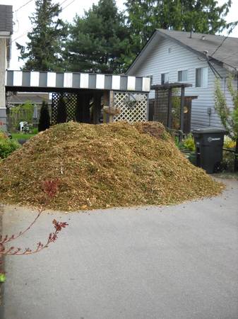 Tree chip mulch truckloads 1