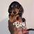 AKC MINI DACHSUNDS 2 thumbnail
