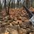 Firewood sale Delaware and surrounding area 3 thumbnail