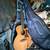 Tanglewood 12 string acoustic/electric for repair 5 thumbnail