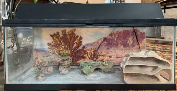 Reptile Terrarium 1