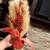 Thanksgiving Decor: 26 Asst New Fall Thanksgiving Wheat Bouquets 16 thumbnail