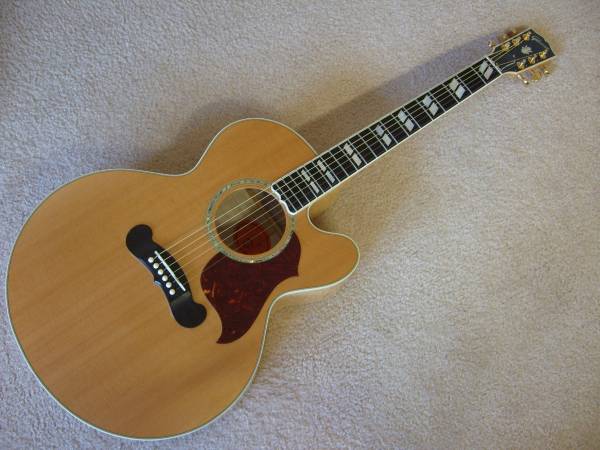 Guitar Repairs (North Ridgeville)63872020413953120