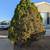 Lawn maintenance & Trash hauling/ junk removal( FREE Estimates!)(El paso) 22 thumbnail