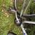 14.4 in Mongoose 850 Aluminum 700c Hybrid 7 thumbnail