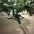 1990s 7ft. Artificial Christmas Tree with White Lights 7 thumbnail
