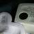 1989 Precious Moments"You Will Always Be My Choice" Porcelain Figurine 4 thumbnail