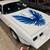 1979 PONTIAC TRANS AM  TRANS AM 1 thumbnail