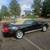 2004 Ford Mustang Deluxe 40th Year Anniversary 3 thumbnail