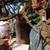 Elk shoulder mount large male 8 thumbnail