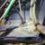 Electrician 16 thumbnail