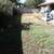 AFFORDABLE LANDSCAPING*TREE REMOVAL/BOB CAT AND DUMP 11 thumbnail