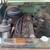 1952 packard 4 thumbnail