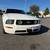Ford Mustang 2008 V6 11 thumbnail