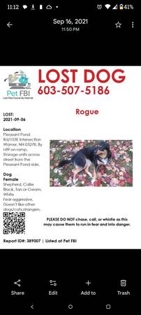 Perro Perdido Sept 2021 (Warner NH)63656332119811120