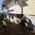 RELIABLE CARPENTER, BUILDER for all repairs, renovations, remodels 10 thumbnail