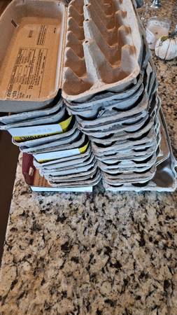 18 egg cartons 1