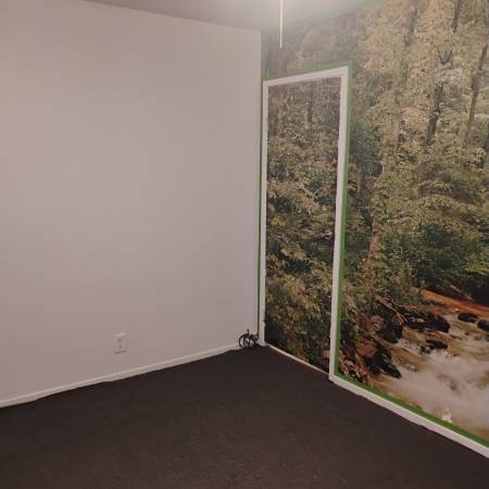 $1,100 entrada privada a habitación - mes a mes (foster city)63813639714689121